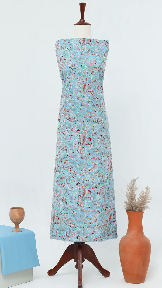 Zarnish – Embroidered 2-Piece Lawn Set